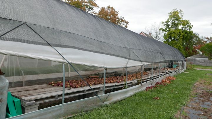 Une ferme urbaine à Core City, près de Détroit. Ici, elles font partie du décor. (Photo Emmanuel Langlois)