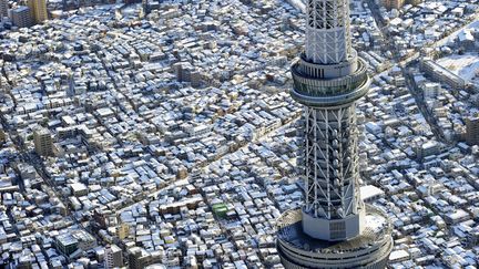 Japon, Tokyo, le 24 janvier 2012. (YOMIURI / AFP)