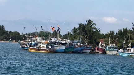 La Réunion : 120 migrants sri-lankais interceptés dans l'océan Indien