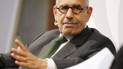 L'opposant égyptien, prix Nobel de la paix, Mohamed ElBaradei, le 25 janvier 2011, à Vienne. (Dieter Nagl - AFP)