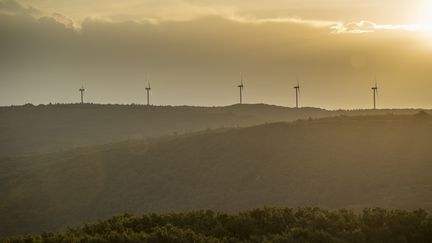 Des éoliennes à La Roche-sur-Grane (Drôme), le 15 août 2024. (ANTOINE BOUREAU / AFP)