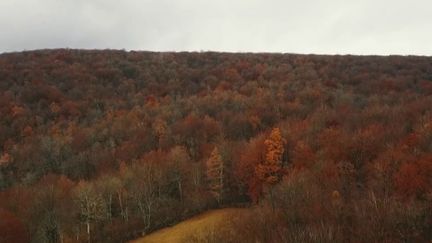 La France s'est offert un 11e parc national. Un vaste territoire qui s'étend sur deux départements : la Côte d'Or et la Haute-Marne. Que signifie ce label de parc national ? (France 2)