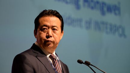 Le président d'Interpol,&nbsp;Meng Hongwei, lors du congrès international de cette organisation à Singapour, le 4 juillet 2017. (ROSLAN RAHMAN / AFP)