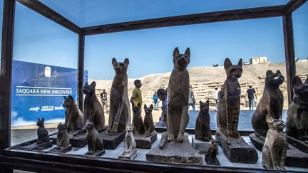 Statuettes de chats exposées à Saqqarah après l'annonce d'une nouvelle découverte archéologique, le 23 novembre 2019 (KHALED DESOUKI / AFP)