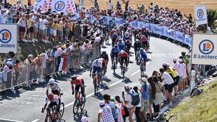 Le peloton du Tour de France dans le cap Blanc-Nez lors de la quatrième étape du Tour de France, le 5 juillet 2022. (DAVID STOCKMAN / AFP)