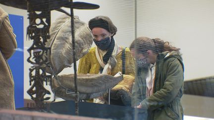 Une dizaine de pièces issues des collections du musée des Confluences sont exposées à l'Hôtel de Métropole à Lyon. (Arnaud Jacques / France 3)