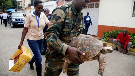 Ce très beau spécimen de tortue, emporté le 8 janvier 2019 par un agent du&nbsp;Kenya Wildlife Service (Agence de conservation de la nature), doit son salut au démantèlement d'un réseau de trafiquants chinois, spécialisés dans l'ivoire et les animaux protégés.&nbsp; (THOMAS MUKOYA / REUTERS)