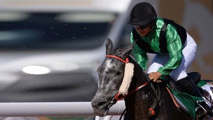 La jeune jockey marocaine Zineb el Briouil sur la jument Fehria dispute un prix international sur l'hippodrome de Marrakech en mai 2017. (Abderrahmane MOKHTARI / AFP)