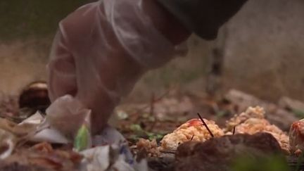 Débarrasser les cités de tous les détritus pour l'embellir : c'est le défi du clean challenge. Une initiative lancée à Garges-lès-Gonesse (Val d'Oise) et qui s'est étendue à toute l'Île-de-France. (FRANCE 3)