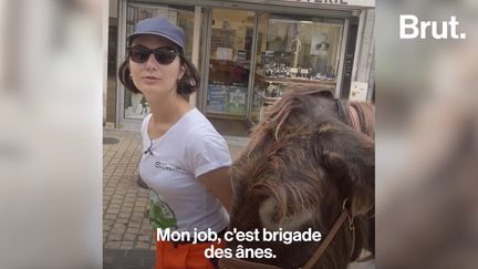 Cet été, Lise, 21 ans, a choisi un petit boulot atypique : ramasser les déchets de la ville de Saumur avec un âne, monsieur Flâneur.