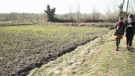 À Pertuis, dans le Vaucluse, des militants écologistes qui s'opposent à un projet de transformation des champs en zone industrielle se sont mis à les cultiver, soutenus par leurs anciens propriétaires expropriés.&nbsp; (CAPTURE ECRAN FRANCE 2)