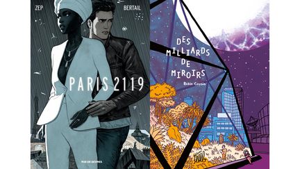 POUR LES AUTEURS DE BD, EN 2019, L'AVENIR N'EST PAS TRES GAI. HEUREUSEMENT, ON S'AIMERA TOUJOURS. (DOMINIQUE BERTAIL, RUE DE SEVRES / ROBIN COUSIN, FLBLB)