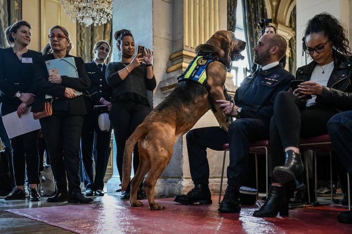 Happle et son maître, le 18 avril 2019 à l'Hôtel de ville de Paris. (PHILIPPE LOPEZ / AFP)