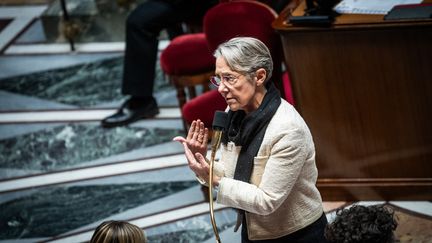 Prime Minister, Elisabeth Borne, in the hemicycle of the National Assembly, November 7, 2023. (XOSE BOUZAS / HANS LUCAS / AFP)