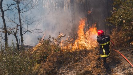 "Deux Canadair pourront être positionnés en Gironde, 48 heures avant un risque, estimé par Météo France" a annoncé le ministre de l'intérieur pour lutter contre les incendies dans le Sud-Ouest. (BENJAMIN GUILLOT-MOUEIX / HANS LUCAS)