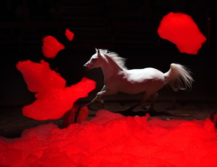 "On achève bien les anges", spectacle de Zingaro (PHILIPPE JUSTE / MAXPPP)