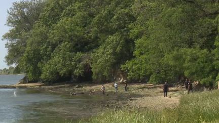 Morbihan : le corps d’une femme de 23 ans, a été retrouvé dans une rivière (France 2)