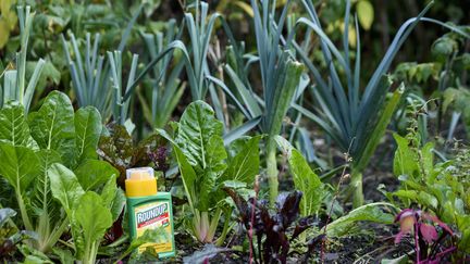 Glyphosate : l'étude qui sème le doute