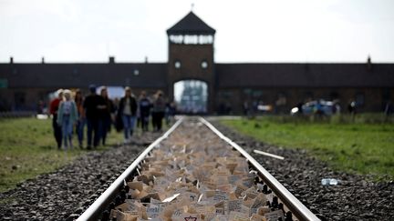 Le camp de concentration d'Auschwitz-Birkenau (Pologne), le 7 novembre 2019. (KACPER PEMPEL / REUTERS)