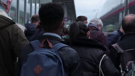 Grève SNCF : les voyageurs s'organisent pour partir en vacances (France 2)