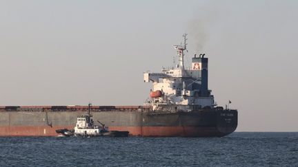 Le cargo "Star Helena" est parti d'Ukraine le 7 août 2022. (OLEKSANDR GIMANOV / AFP)