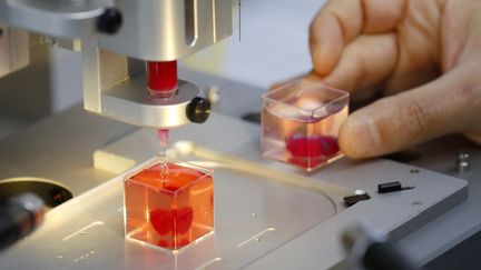 Prise le 15 avril 2019, cette photo montre l'impression d'un prototype de cœur en 3D à partir de tissus humains, à l'université de Tel-Aviv (Israël). (JACK GUEZ / AFP)