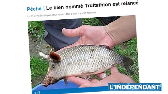 Un poisson mi-truie mi-truite, imagin&eacute; par "L'Ind&eacute;pendant" pour le 1er avril 2013. (L'INDEPENDANT / FRANCETV INFO)