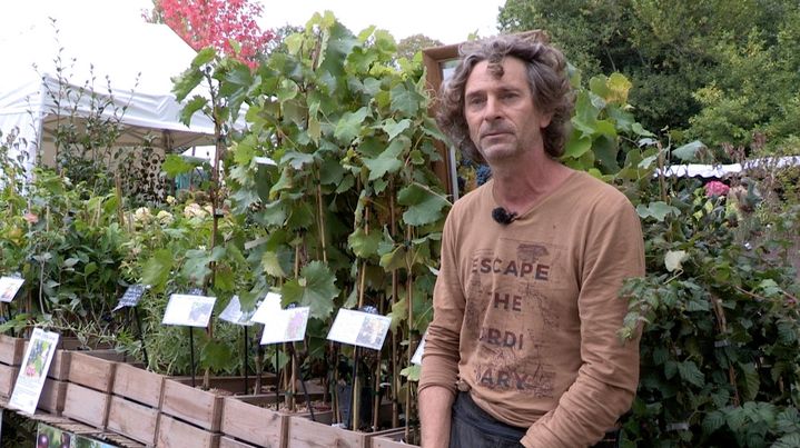 Sébastien Tan produit vignes et fruitiers rares dans le Sud-Ouest. (ISABELLE MORAND / RADIO FRANCE / FRANCE INFO)