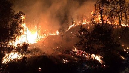 Incendie dans Bouches-du-Rhône : 24 heures de combat contre les flammes