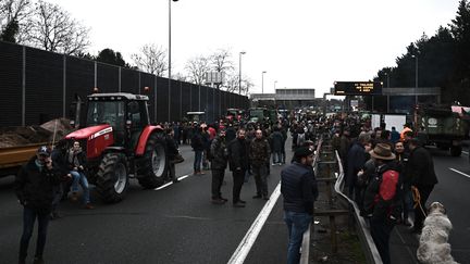 Des agriculteurs manifestent sur la rocade de Bordeaux (Gironde), le 24 janvier 2024. (PHILIPPE LOPEZ / AFP)