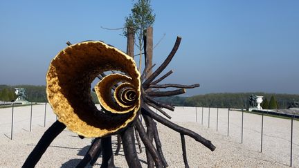 "Spazio di Luce" (Espace de lumi&egrave;re), une scupture de l'Italien Giuseppe Penone expos&eacute;e dans le jardin du ch&acirc;teau de Versailles jusqu'au 31 octobre. (CLAIRE LEBERTRE / AFP)