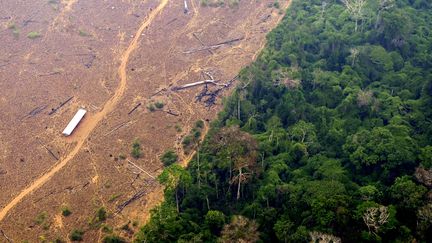 Une zone dévastée par un incendie dans la région de Labrea, dans l'état d'Amazonie, au Brésil, le 2 septembre 2022.&nbsp; (DOUGLAS MAGNO / AFP)