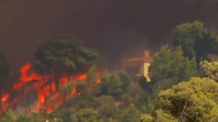 Incendies en Grèce : pourquoi le pays est-il si vulnérable aux départs de feux ? (france 2)