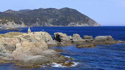 Une plage à Six-Fours-les-Plages (Var), le 5 juin 2019.&nbsp; (MOIRENC CAMILLE / HEMIS.FR / AFP)