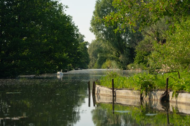 The Bourges Canoë Kayak Club organizes canoe trips to introduce tourists and locals to the marshes a few steps from the city center.  (AD2T OF DEAR)