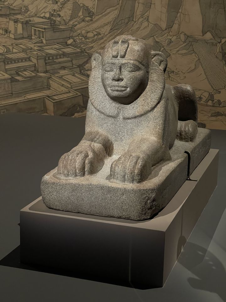 "Sphinx à l'éffigie de Taharqa", Kawa, troisième période intermédiaire, 25e dynastie, règne de Taharqa, granit gris, appartenant au British Museum. (NISRINE MANAI / FRANCEINFO CULTURE)