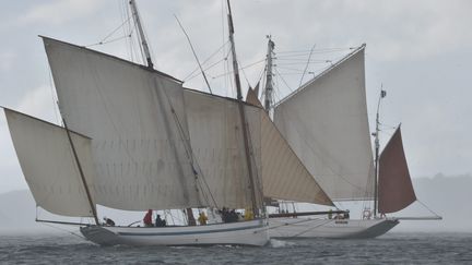 Les fêtes maritimes de Brest (Finistère) ont ouvert leurs portes, mercredi 13 juillet 2016.&nbsp; (MAXPPP)