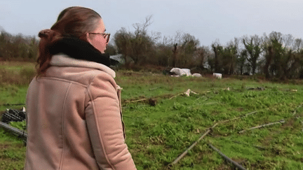 Tempête Ciaran : les agriculteurs toujours en attente d’indemnisation