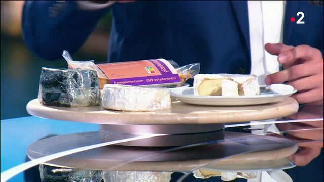 Alimentation : fromage, viandes, poissons, la mode des aliments de substitutions