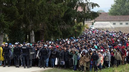 Un millier de migrants sont accommpagn&eacute;s par la police Slov&egrave;ne &agrave; partir de la fronti&egrave;re avec la Croatie, le 22 octobre 2015, du village de Rigonce jusqu'&agrave; Dobova, le 22 octobre 2015.&nbsp; (STRINGER / AFP)