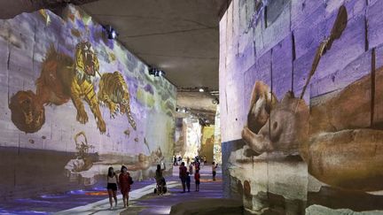 Les Carrières de Lumières aux Baux de Provence ont mis à l’honneur Salvador Dalí lors d'une exposition immersive, en mai 2020. (MATTES RENE / HEMIS.FR / AFP)