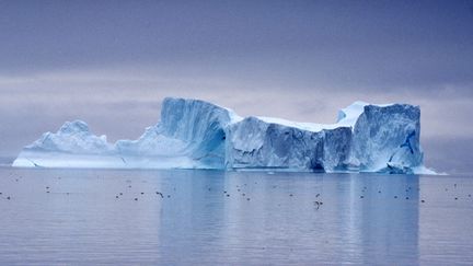 L'iceberg Ilulissat au large du Groenland, en 2011. (ALESSANDRA MENICONZI / TIPS / AFP)