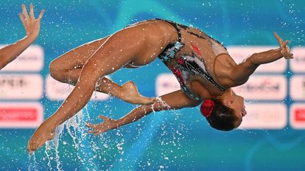 L'équipe de France participe à l'épreuve finale&nbsp;de l'highlights de la natation artistique lors des Championnats d'Europe de natation, le 12 août 2022 à Rome. (ALBERTO PIZZOLI / AFP)