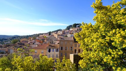 Vue sur le village de Bormes-les-Mimosas.&nbsp; (ISABELLE MORAND / DIDIER HIRSCH / RADIO FRANCE / FRANCE INFO)