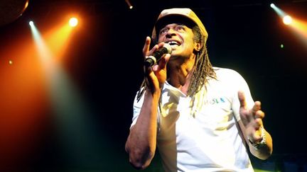 Yannick Noah sur scène (ici à Saint-Etienne en juin 2012).
 (Philippe Merle / AFP)