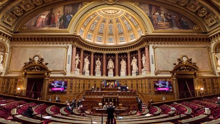 L'hémicycle du Sénat. (LIONEL BONAVENTURE / AFP)