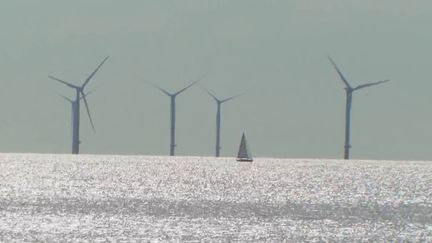 Énergies renouvelables : la population de Loire-Atlantique divisée sur le parc éolien de Saint-Nazaire (FRANCE 3)