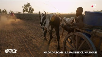 Envoyé spécial. Madagascar : la famine climatique (ENVOYÉ SPÉCIAL  / FRANCE 2)