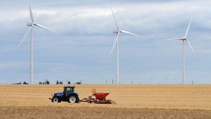 Un agriculteur passe devant un parc éolien, en août 2016. (Photo illustration)&nbsp; (JEAN-FRANCOIS MONIER / AFP)