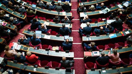 Le Sénat à Paris, lors des questions au gouvernement, le 20 novembre 2024. (XOSE BOUZAS / HANS LUCAS / AFP)